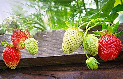 KK对战平台新图上线！4款人气地图，史诗级航海题材新作来了！